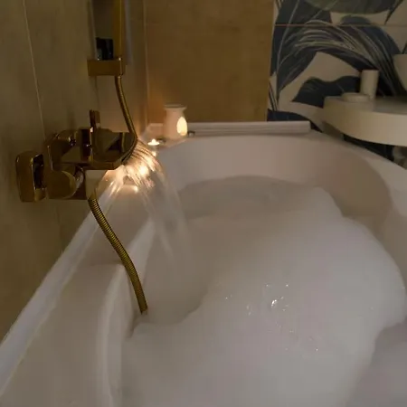 Gran Maison Toledo 公寓 *