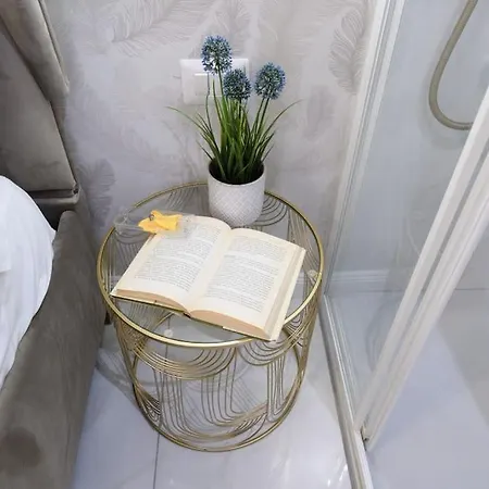 公寓 Gran Maison Toledo 那不勒斯